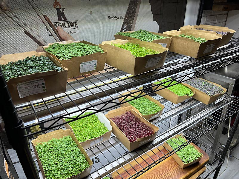 Fotos del seminario IA Alimenta realizado en Casa Espoz, Abril 2026