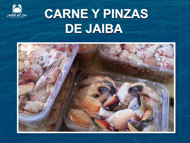 Jaibita del Sur, Jaiba premium y otros mariscos congelados - Guia Horeca en  Chile