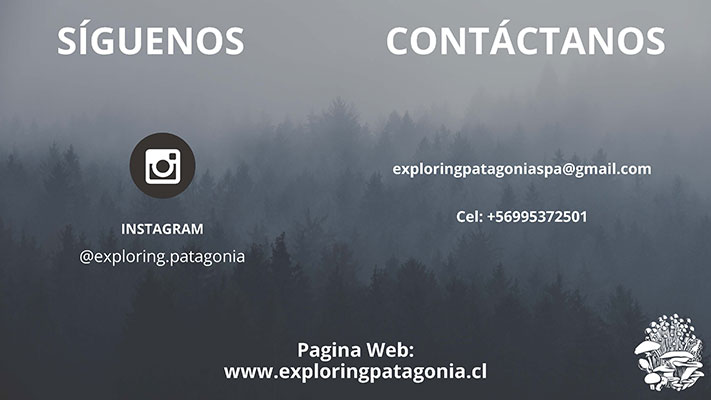  - Exploring Patagonia