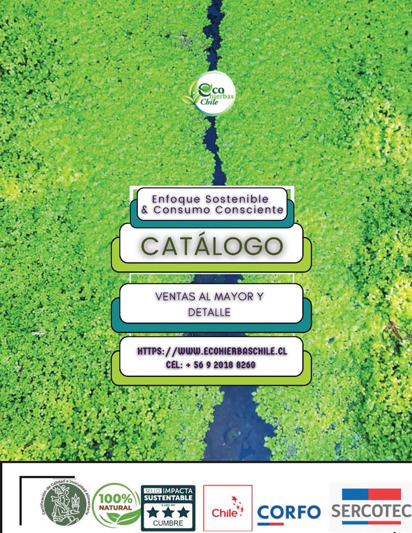  - Ecohierbas Chile