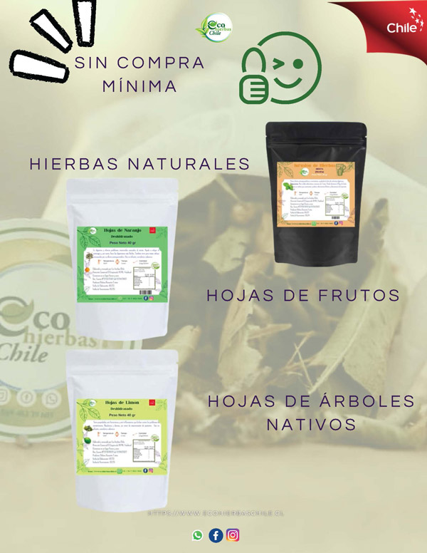  - Ecohierbas Chile