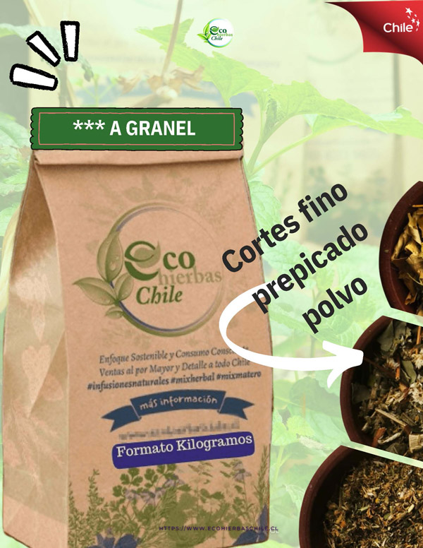  - Ecohierbas Chile