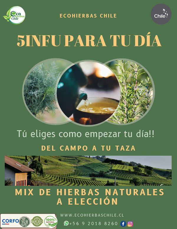  - Ecohierbas Chile