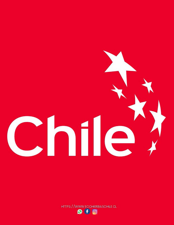 - Ecohierbas Chile