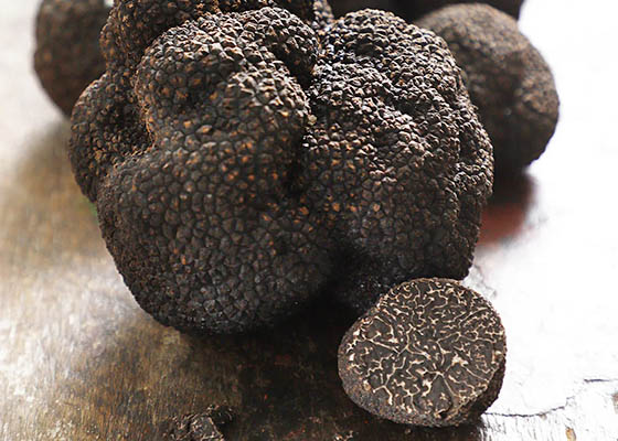 Trufas Araucanía
