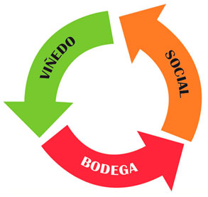 I+D Vinos de Chile invitado a presentar proyecto de C�digo de Sustentabilidad Nacional en D�sserdolf
