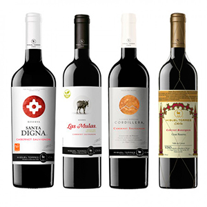 Miguel Torres | La vi�a crea distribuidora Grandes Terru�os