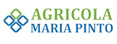 Agrícola Maria Pinto