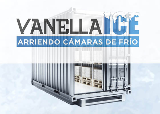 Vanella Ice