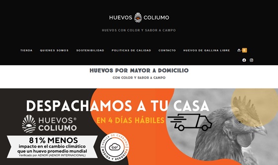 Huevos Coliumo