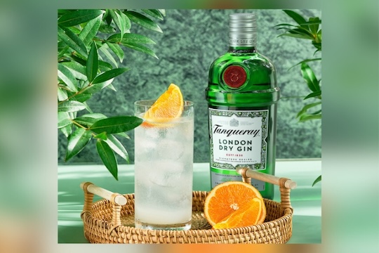 Medallas Internacionales y Crecimiento del Gin en el Mercado Chileno: El Caso de Tanqueray en 2024