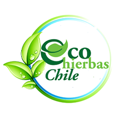 Ecohierbas Chile