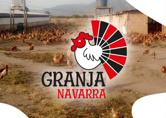 Huevos Granja Navarra